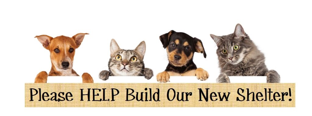 Group of dogs holding a board titled Please help build our new shelter