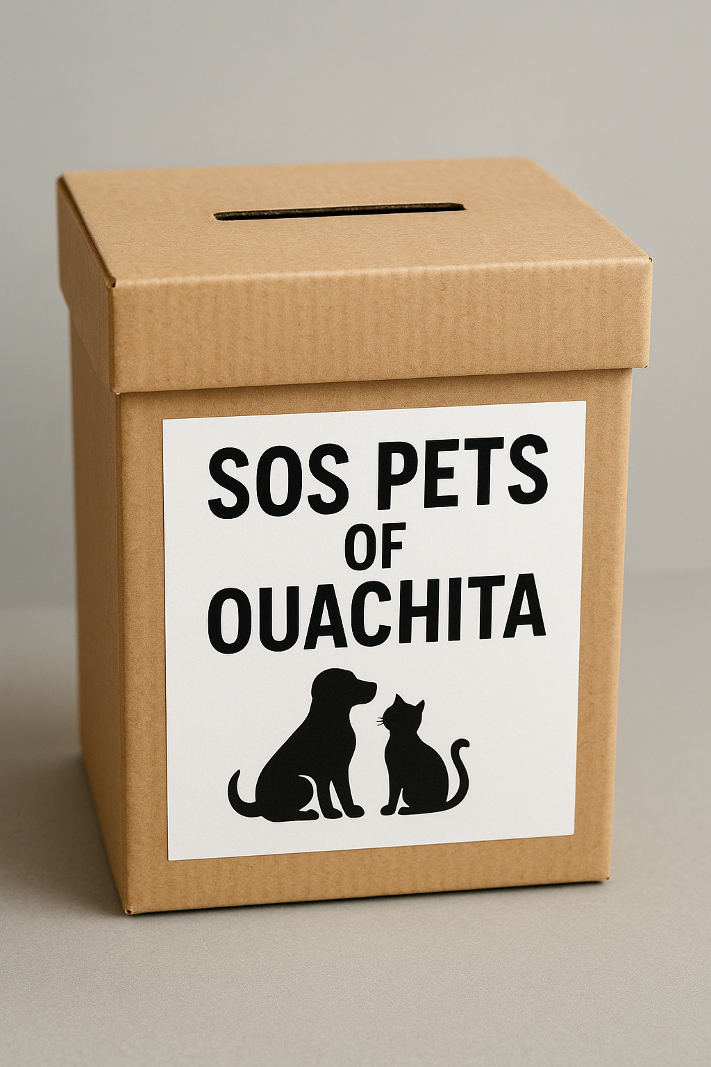 Donation Box