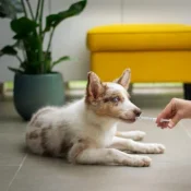 home-2